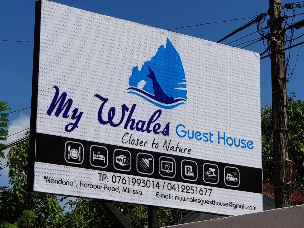 My Whales Guest House Бандарамулла Экстерьер фото